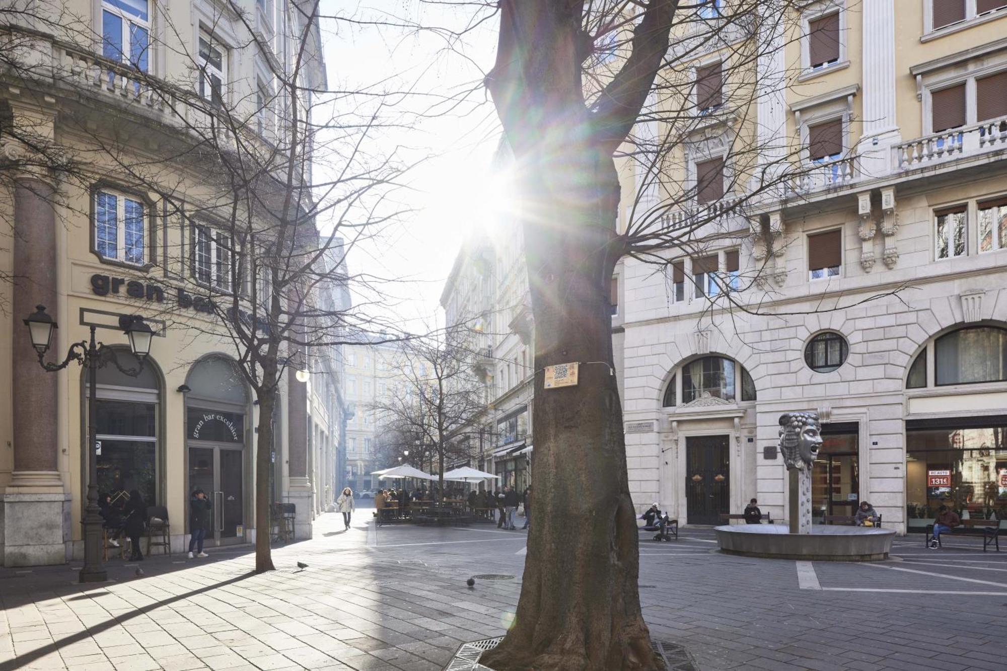 Triestinn - Viale Suite Buitenkant foto